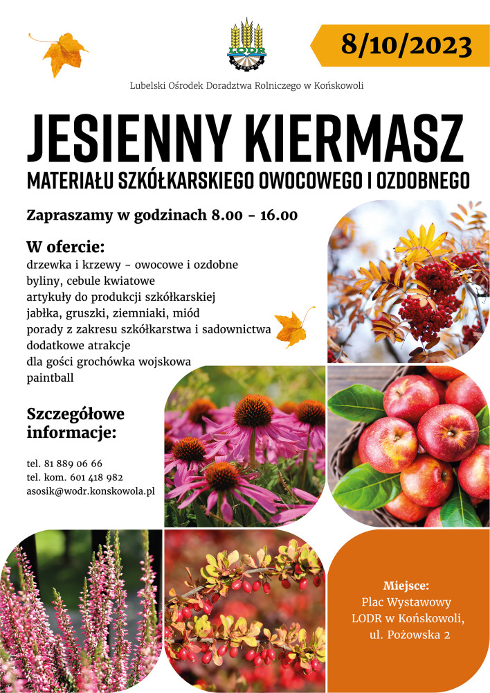 JESIENNY KIERMASZ