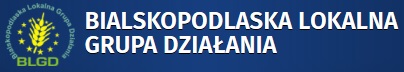 DODATKOWE ŚRODKI NA WDRAŻANIE LOKLANEJ STRATEGII ROZWOJU BLGD