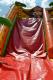 dsc_4313_t1.jpg