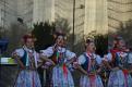 Kliknij, aby zobaczyć. dsc_2492_t1.jpg