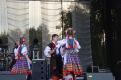 Kliknij, aby zobaczyć. dsc_2497_t1.jpg