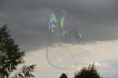 dsc_5012.jpg