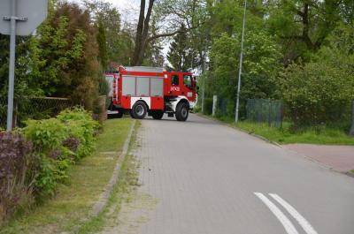 dsc_7339.jpg