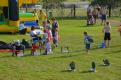 dsc_0839_t1.jpg