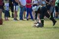 dsc_0497_t1.jpg