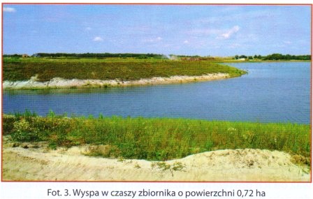 Wyspa w czaszy zbiornika o powierzchni 0,72 ha