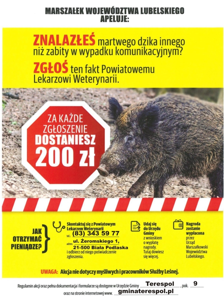 Znalazłeś zabitego dzika!